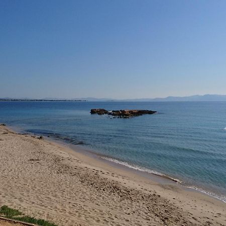 Summerhouse Peggy: Close To Athens Airport By The Sea Artemida  Exterior foto